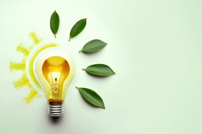 Зеленая энергетика все?