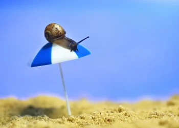 Как узнать размер отпускных? Будущим курортникам посвящается…