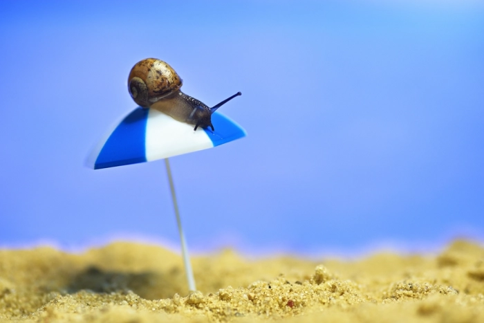 Как узнать размер отпускных? Будущим курортникам посвящается…