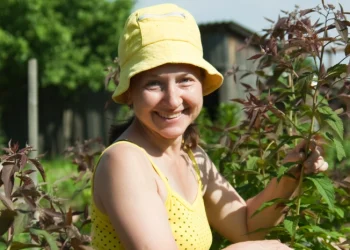 На Госуслугах запущен новый сервис для дачников