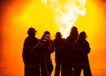 Обзор IT-Weekly: пожар на складе Wildberries в Шушарах; обвал экспорта российских ИТ-решений