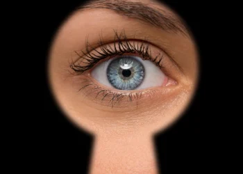 Зачем они возвращаются, кто заменит нотариуса, и чем платят за работу с нейросетью