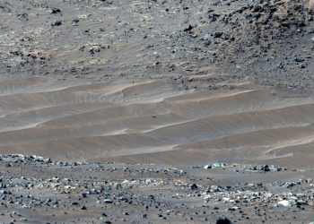 NASA показало последнее фото вертолета Ingenuity на Марсе