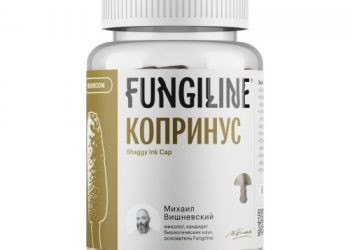 Целебные свойства гриба навозника (Копринус)