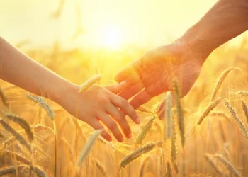 «Яндекс мэтч» вряд ли поможет найти партнера