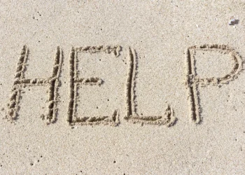 TikTok просит защиты у пользователей