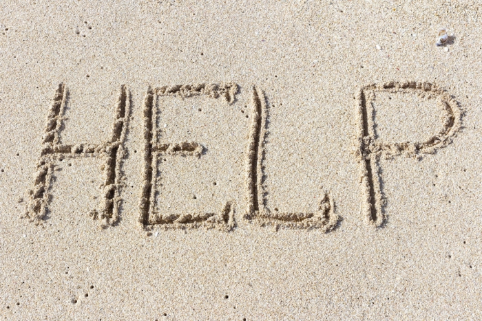 TikTok просит защиты у пользователей