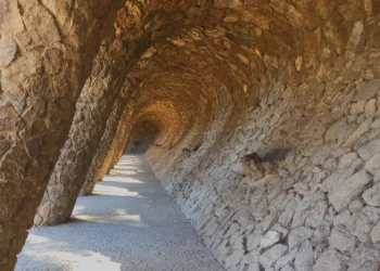 Кары – для спамера Сары, оплата чая пришедшего из Китая, и Gaudi – для любителей нейросети