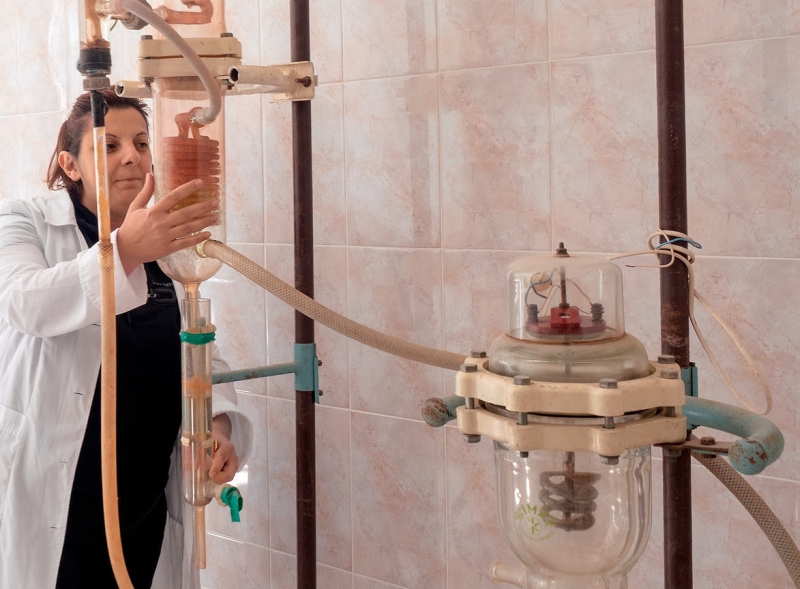 «Обезьяны, живущие на воле, физически и психически здоровее»