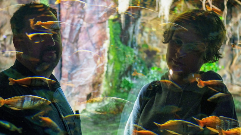 «Это не имеет отношения к чипированию или управлению волей»