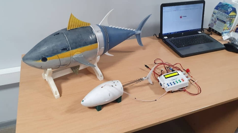 «Это не имеет отношения к чипированию или управлению волей»