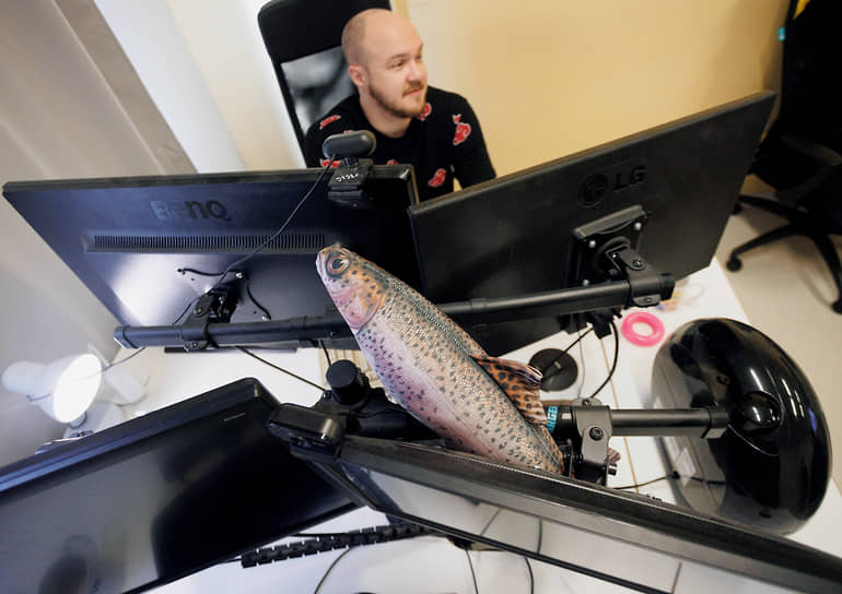 Исходный код блокируется санкциями