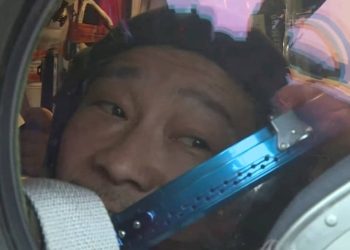 Японский миллиардер закрыл проект по первому туристическому полету вокруг Луны