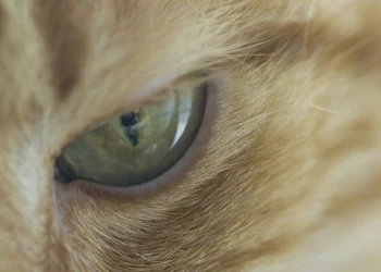 Как банки распознают жертв мошенников, почему Турция контролирует криптовалюты, и зачем нужно разговаривать с коллегами