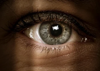 Кто следит за российским авиапромом, кому подчиняется Mozilla, и почему «Аквариус» делает отечественные ПК