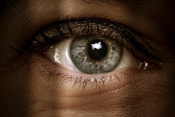 Кто следит за российским авиапромом, кому подчиняется Mozilla, и почему «Аквариус» делает отечественные ПК