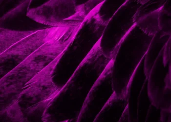 О нейросетевом маркетинге, строгом OpenAI, автоматизированом назначении отпусков, и замене для ICQ