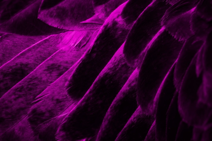 О нейросетевом маркетинге, строгом OpenAI, автоматизированом назначении отпусков, и замене для ICQ