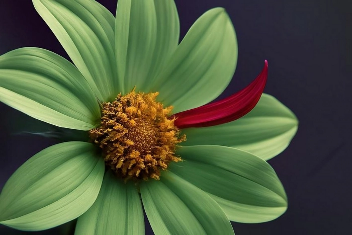 Обзор IT-Weekly: IСQ завершил работу, ЕС ввел санкции против российского аналога SWIFT, госкомпании не могут импортозаместить ПО от Adobe