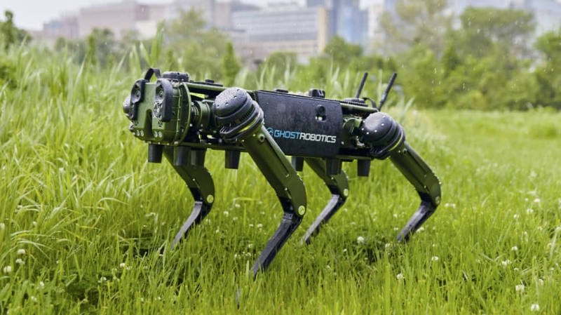 Робопсы войны