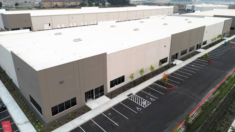 Робопсы войны