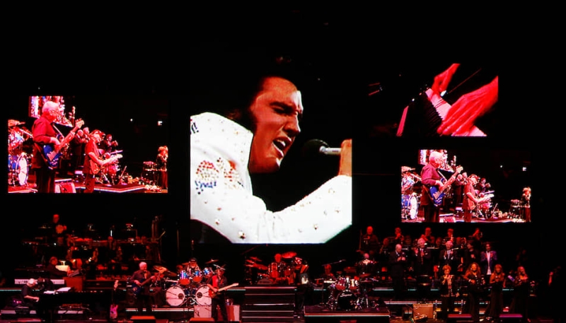 Шведская компания хочет создать цифровой аватар Элвиса Пресли