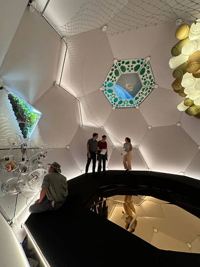 Отель для морских коньков, космические апартаменты и другие очумелые штучки