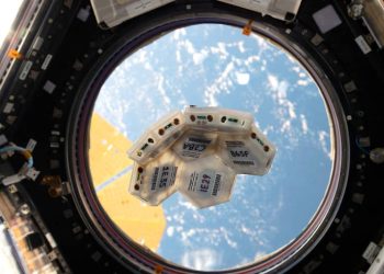 Отель для морских коньков, космические апартаменты и другие очумелые штучки