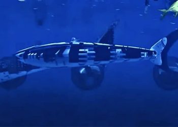 «Роботизированное будущее все реальнее»