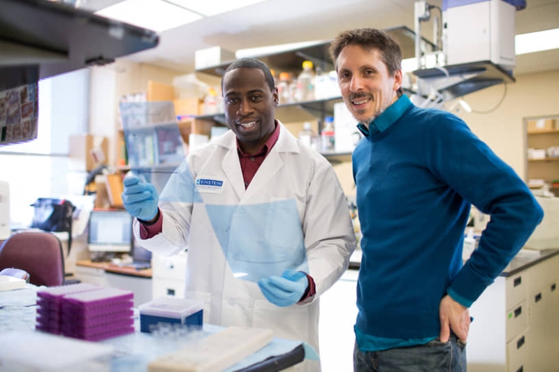 С новым мозгом, с новой жизнью!