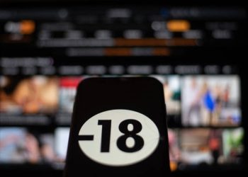 «Любопытно, как разнообразно порноиндустрия использует ИИ»