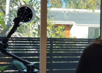 Светлое будущее