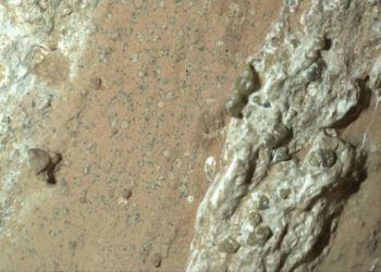 NASA обнаружило возможные следы древней жизни на Марсе