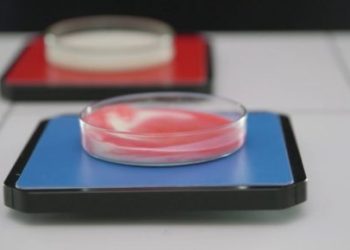 Серия сенсорных корпусов BoLink для интернета вещей