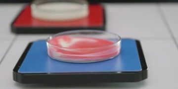 Серия сенсорных корпусов BoLink для интернета вещей