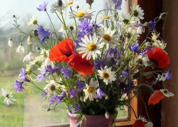 Картинка-заглушка: зачем она нужна и как правильно использовать