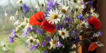 Картинка-заглушка: зачем она нужна и как правильно использовать