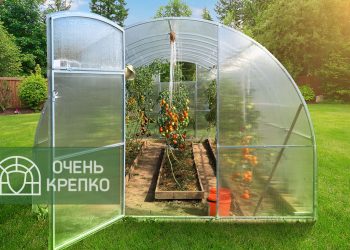 Как выбрать оптимальный размер теплицы