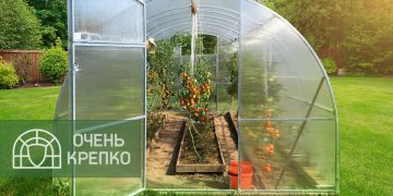 Как выбрать оптимальный размер теплицы